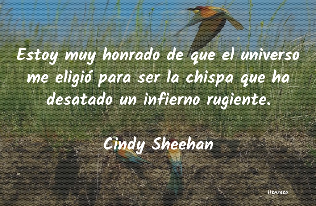 Frases de Cindy Sheehan