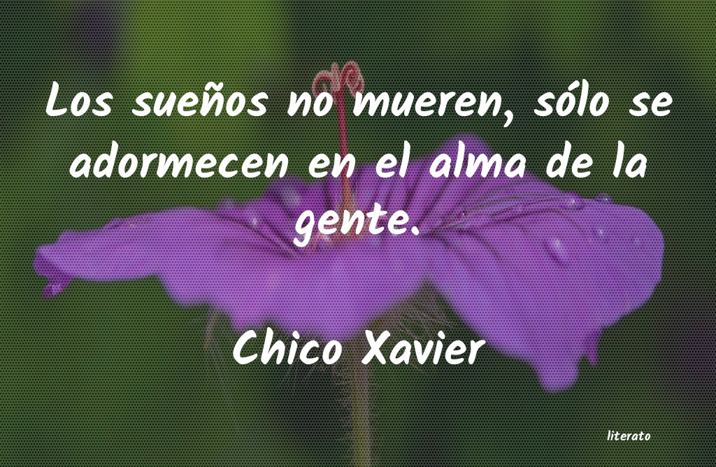 Frases de Chico Xavier