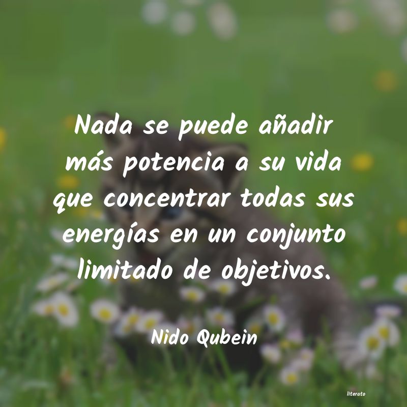 Frases de Nido Qubein