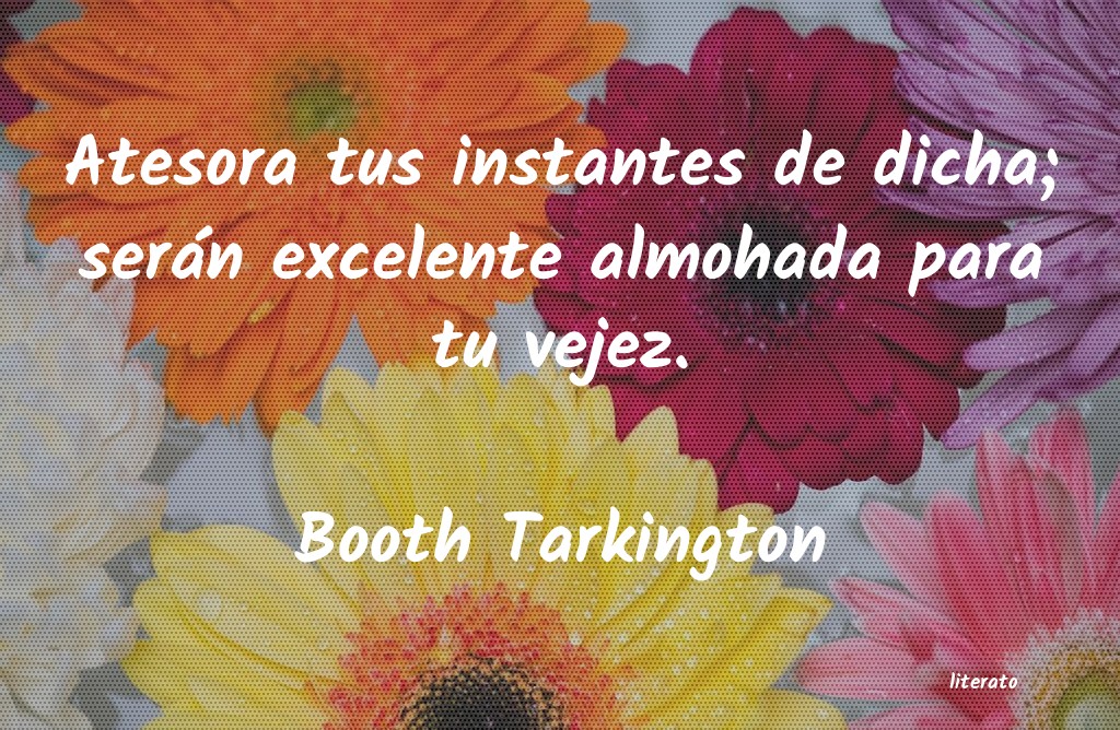 frases de Booth Tarkington