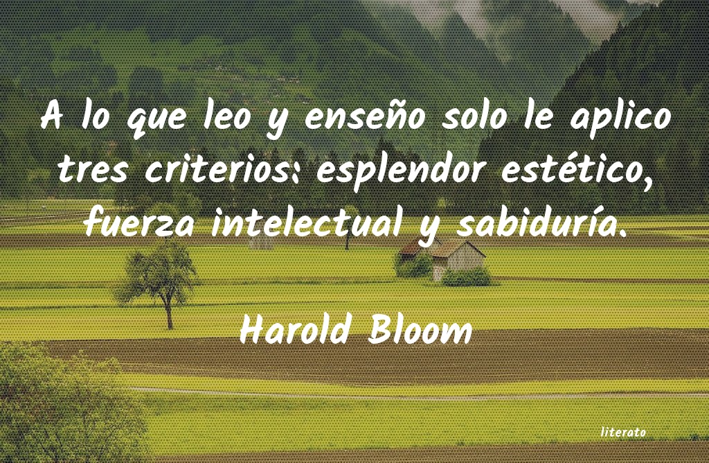 Frases de Harold Bloom