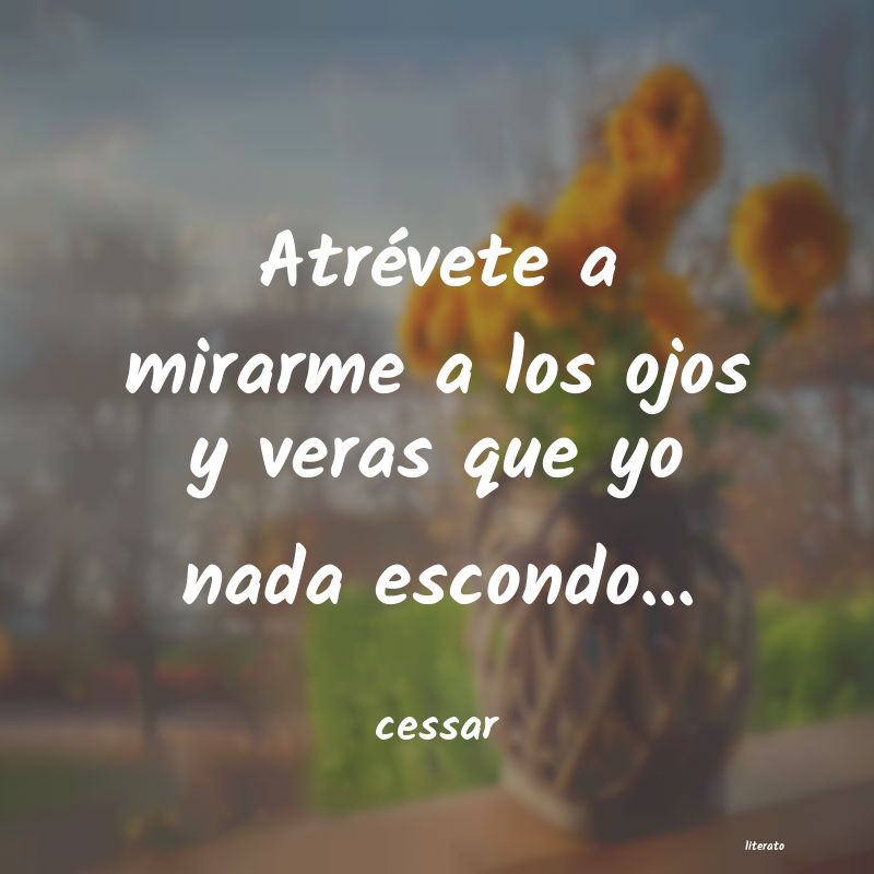 frases de cessar