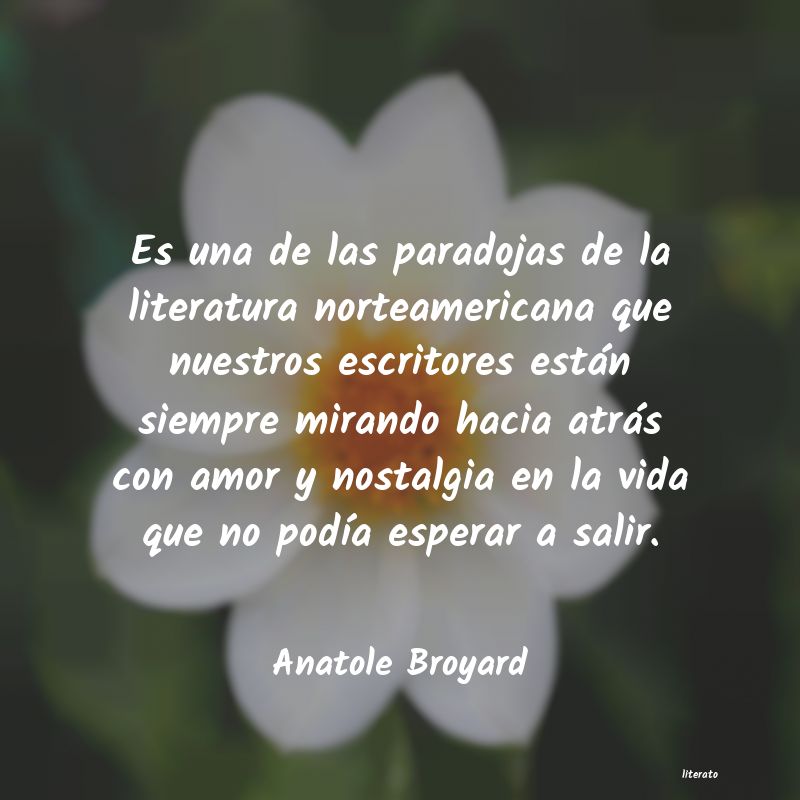 Frases de Anatole Broyard