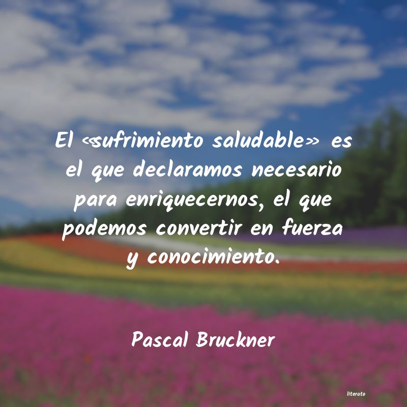 Frases de Pascal Bruckner