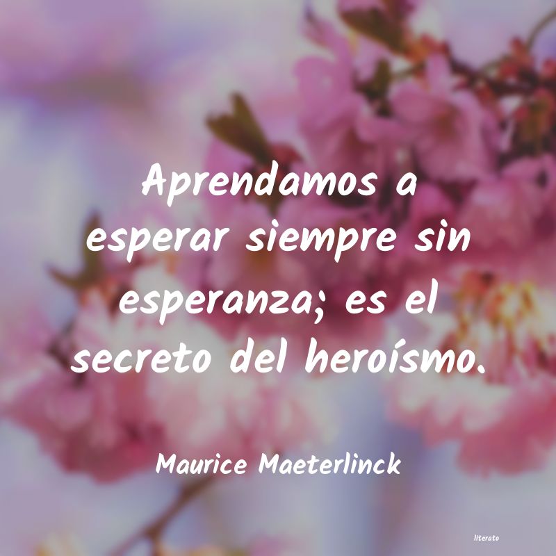 Frases de Maurice Maeterlinck