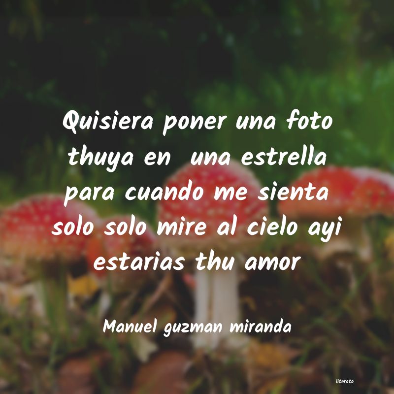 Frases de Manuel guzman miranda