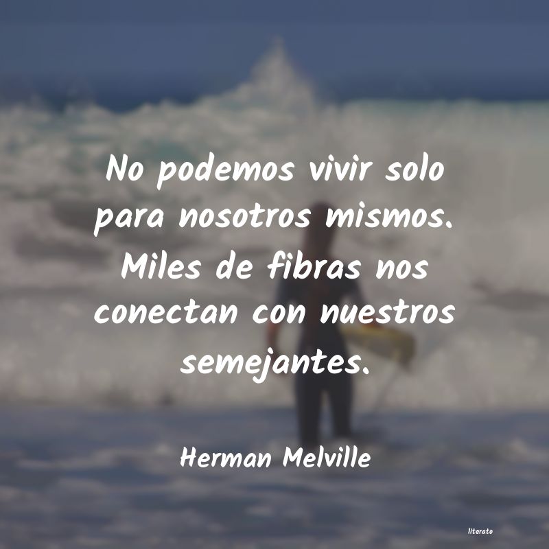 Frases de Herman Melville