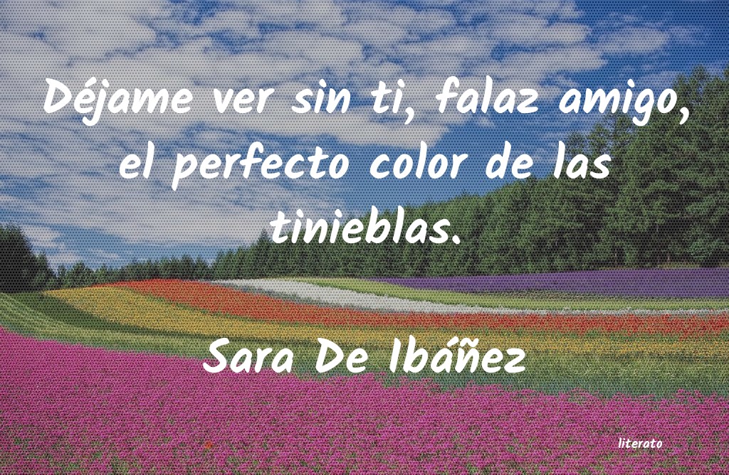 frases de Sara De Ibáñez