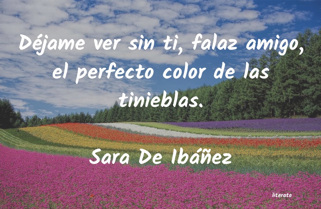 Frases de Sara De Ibáñez