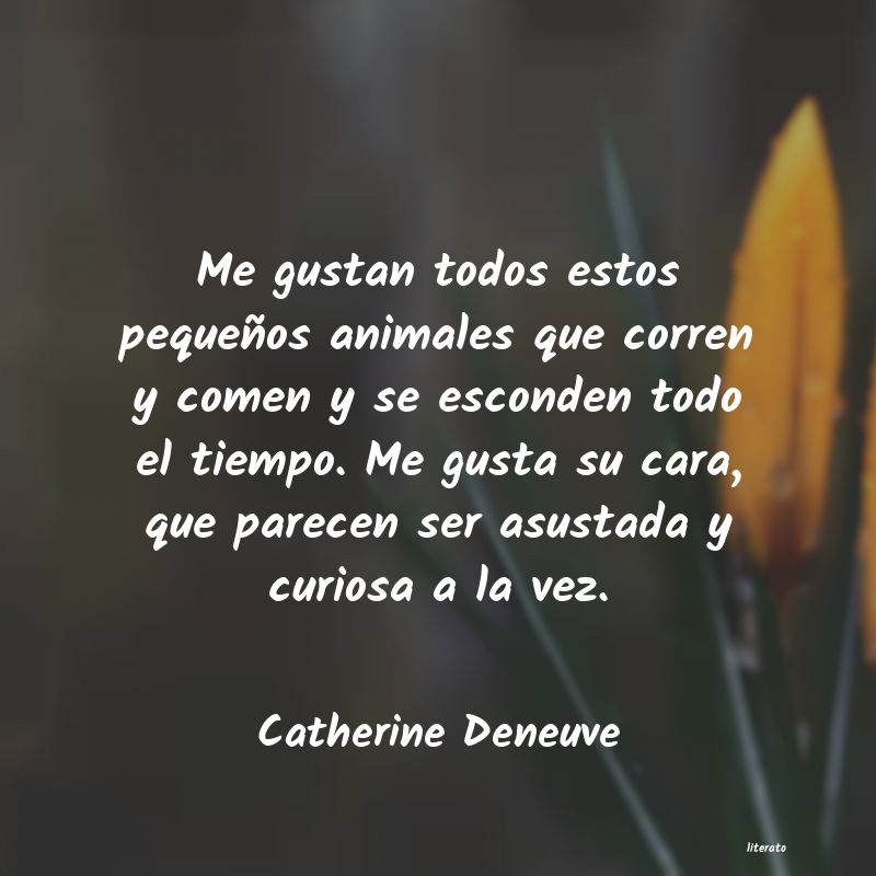 Frases de Catherine Deneuve