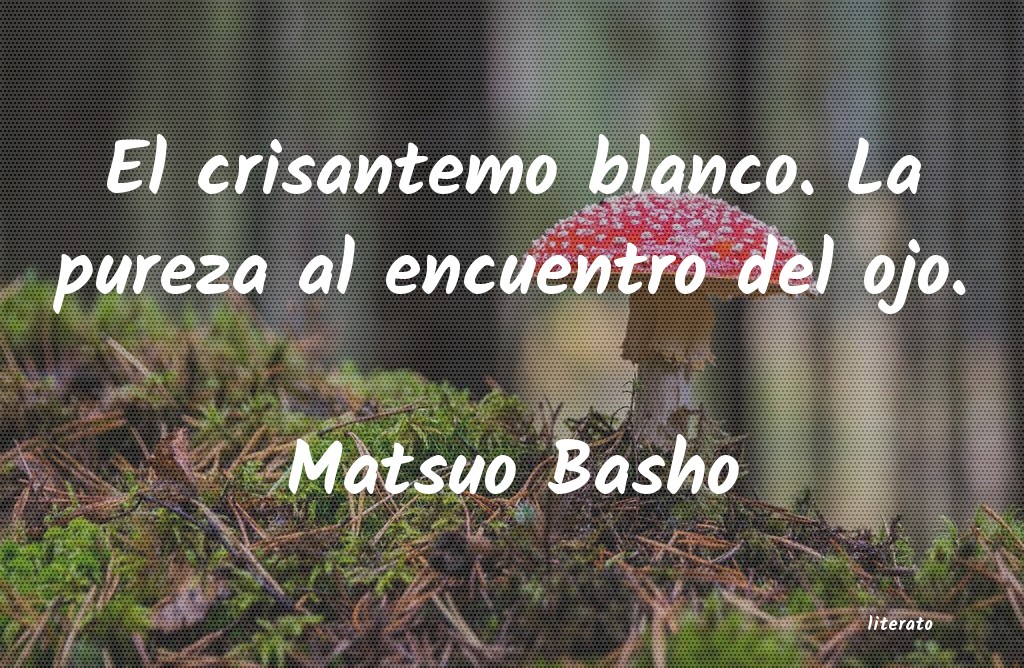 frases de Matsuo Basho
