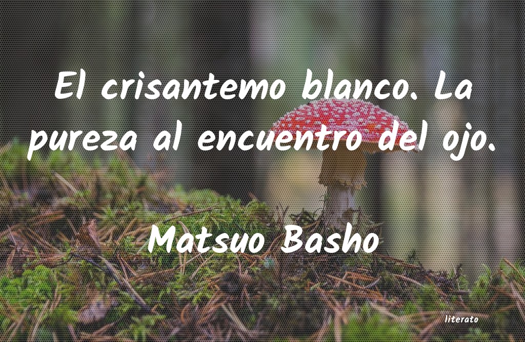 Frases de Matsuo Basho