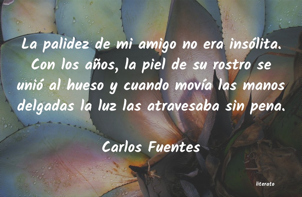 Frases de Carlos Fuentes