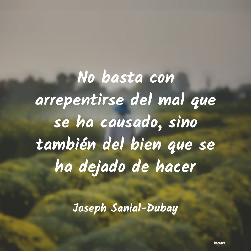frases de Joseph Sanial-Dubay