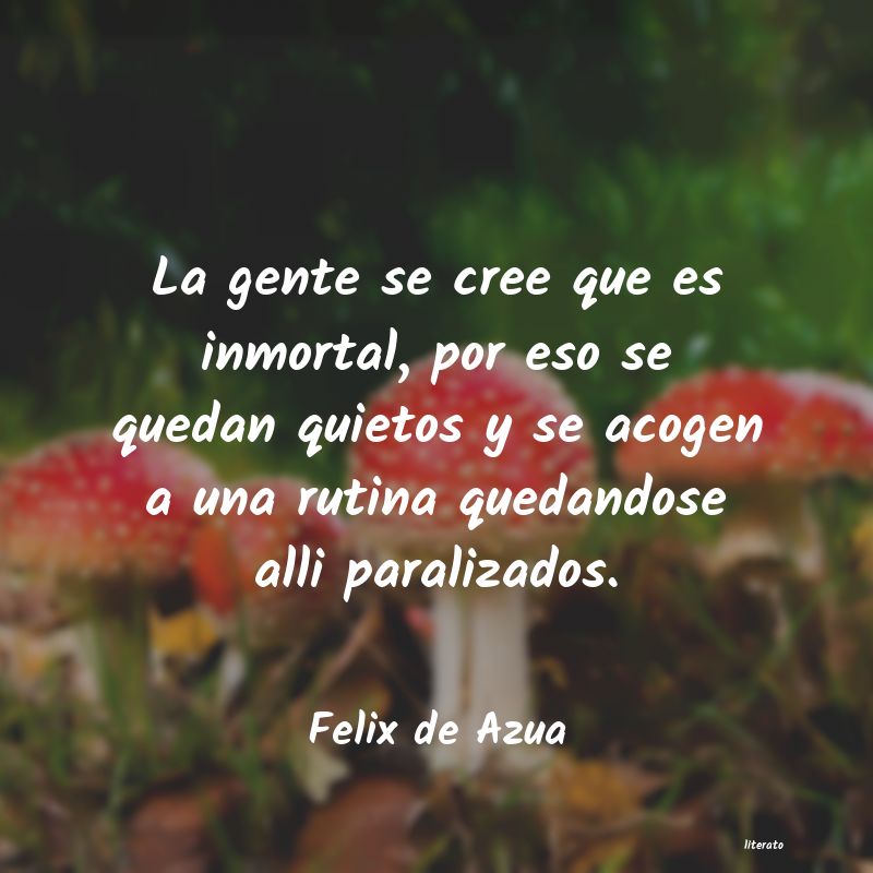 frases de Felix de Azua