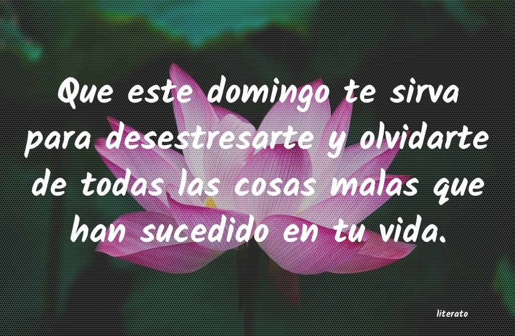 frases