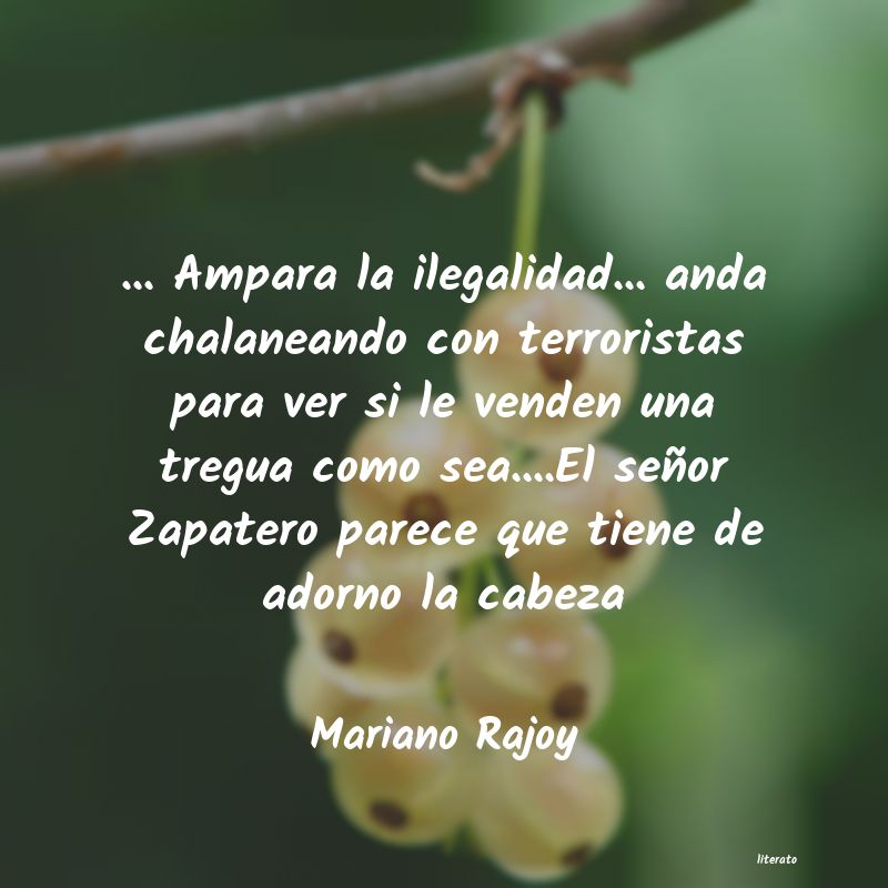 frases de Mariano Rajoy