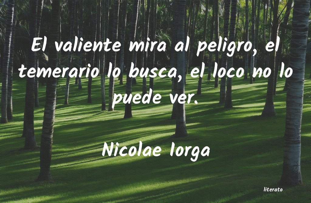 Frases de Nicolae Iorga