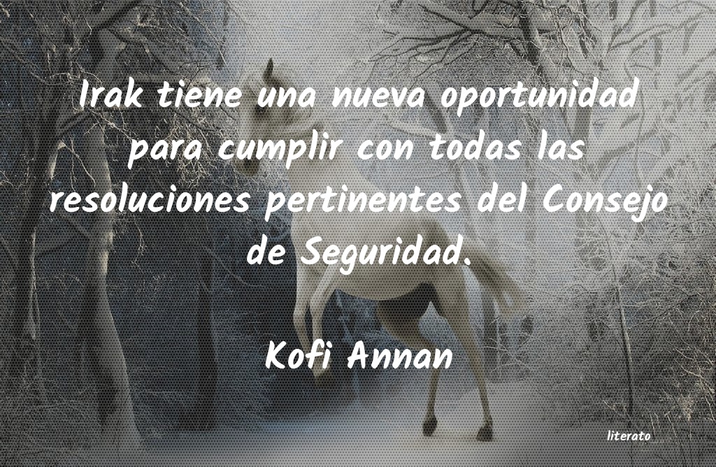 Frases de Kofi Annan