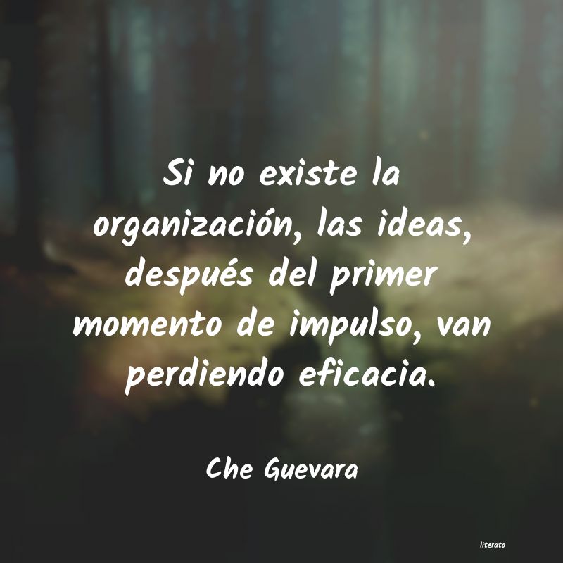 Frases de Che Guevara