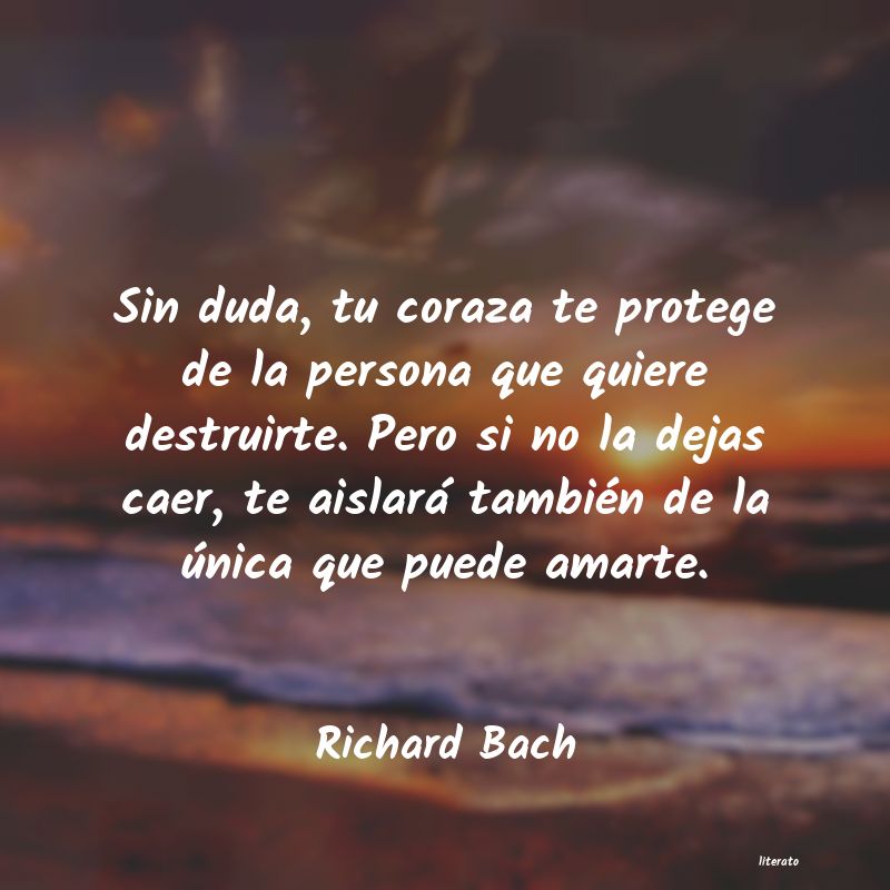 frases de Richard Bach