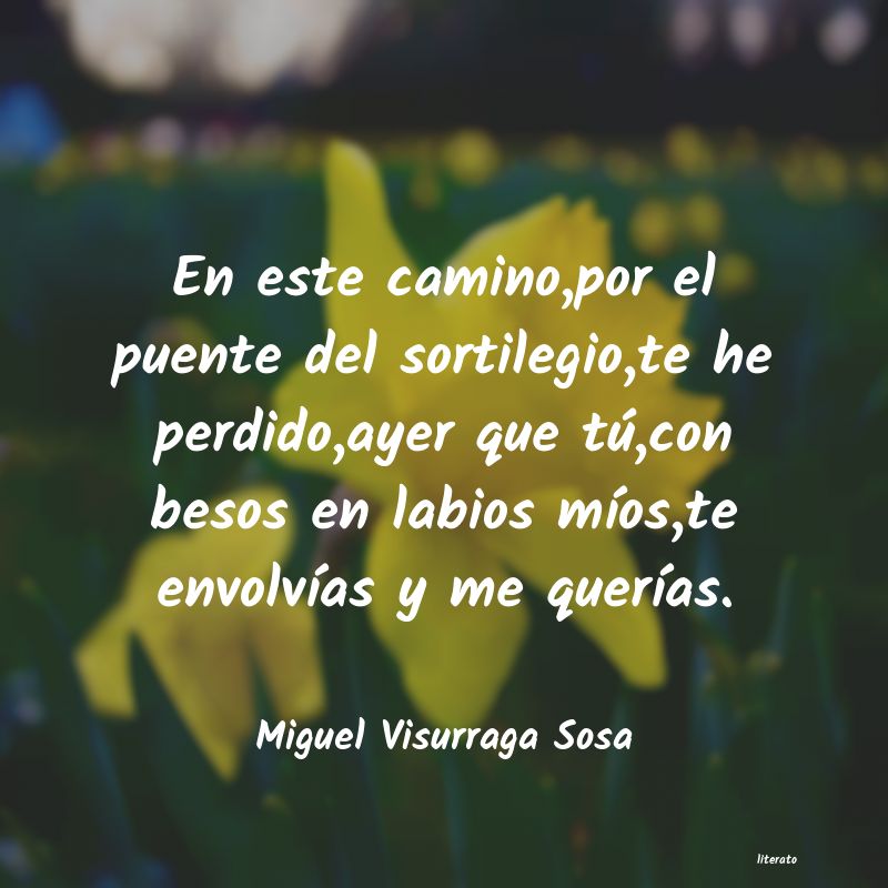 Frases de Miguel Visurraga Sosa