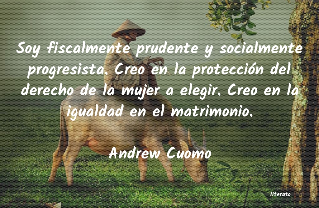 frases de Andrew Cuomo