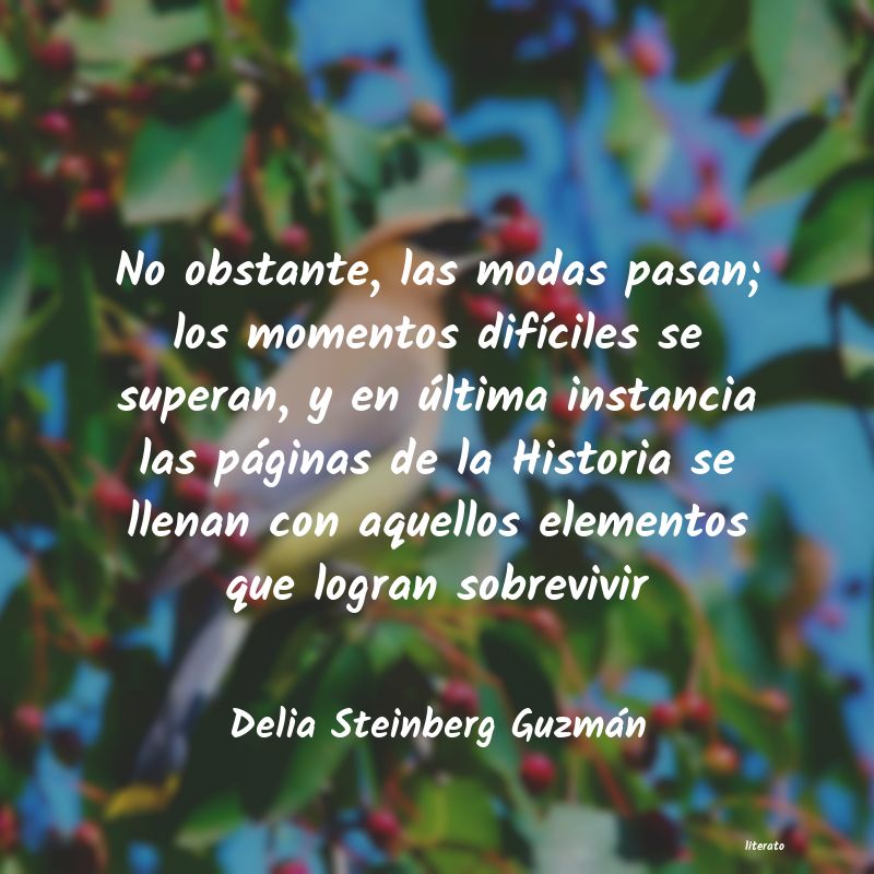 Frases de Delia Steinberg Guzmán
