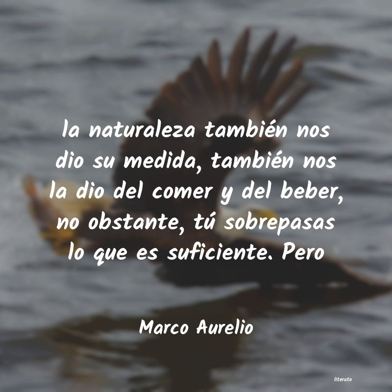 frases de Marco Aurelio