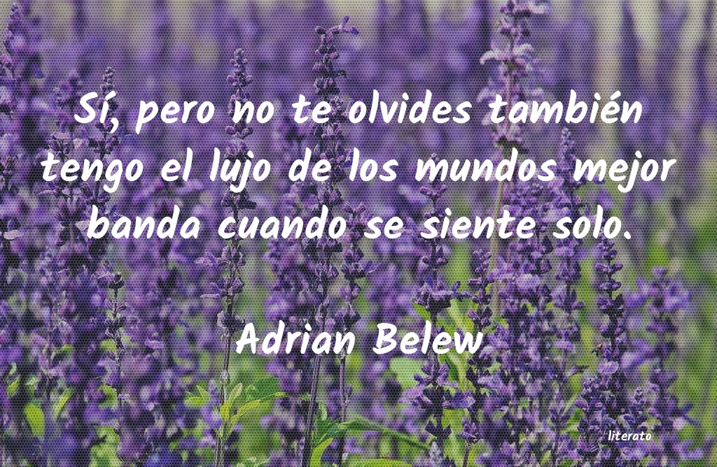 frases de Adrian Belew