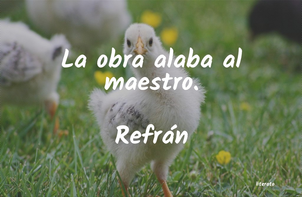 Frases de Refrán