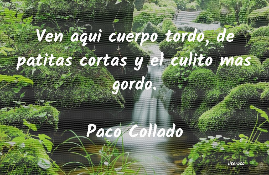 Frases de Paco Collado