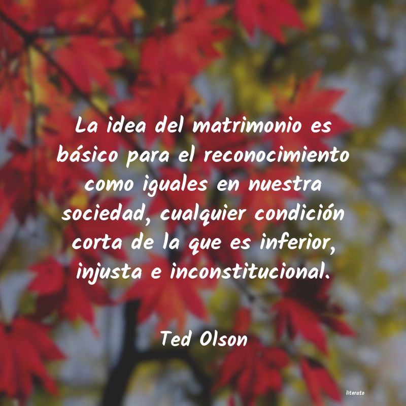 Frases de Ted Olson