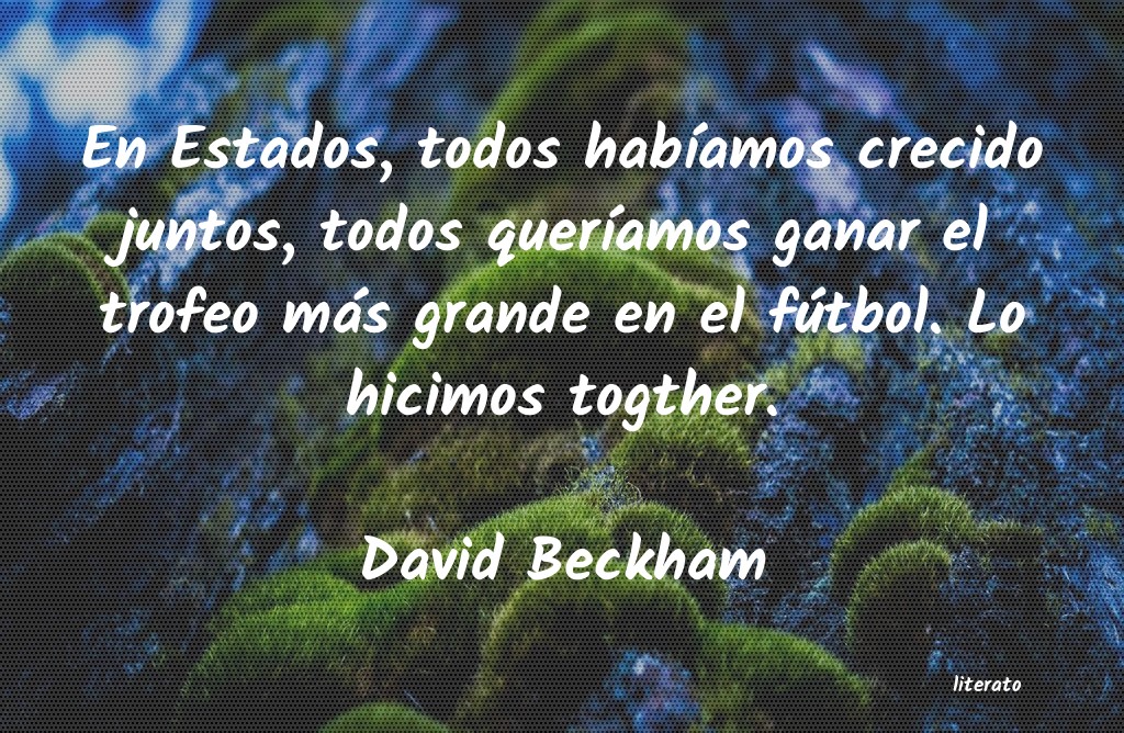 frases de David Beckham