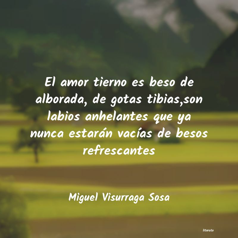 frases de Miguel Visurraga Sosa
