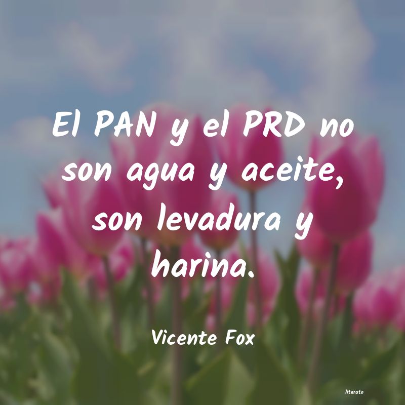 Frases de Vicente Fox