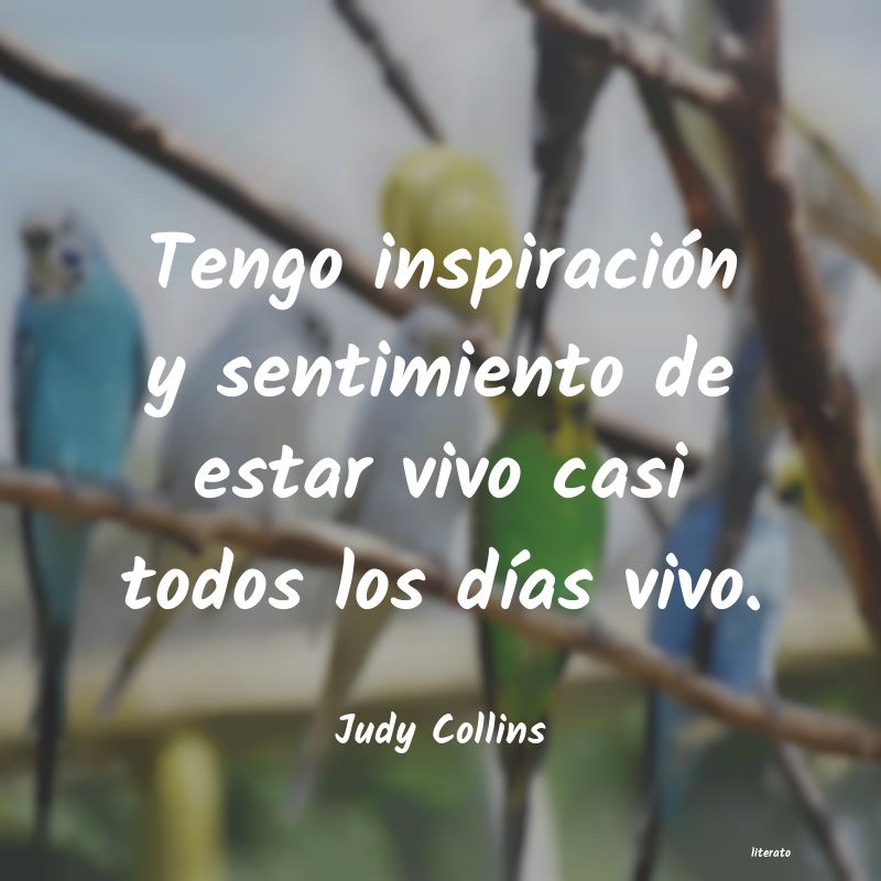 frases de Judy Collins