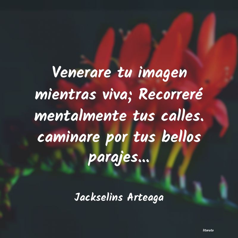 frases de Jackselins Arteaga