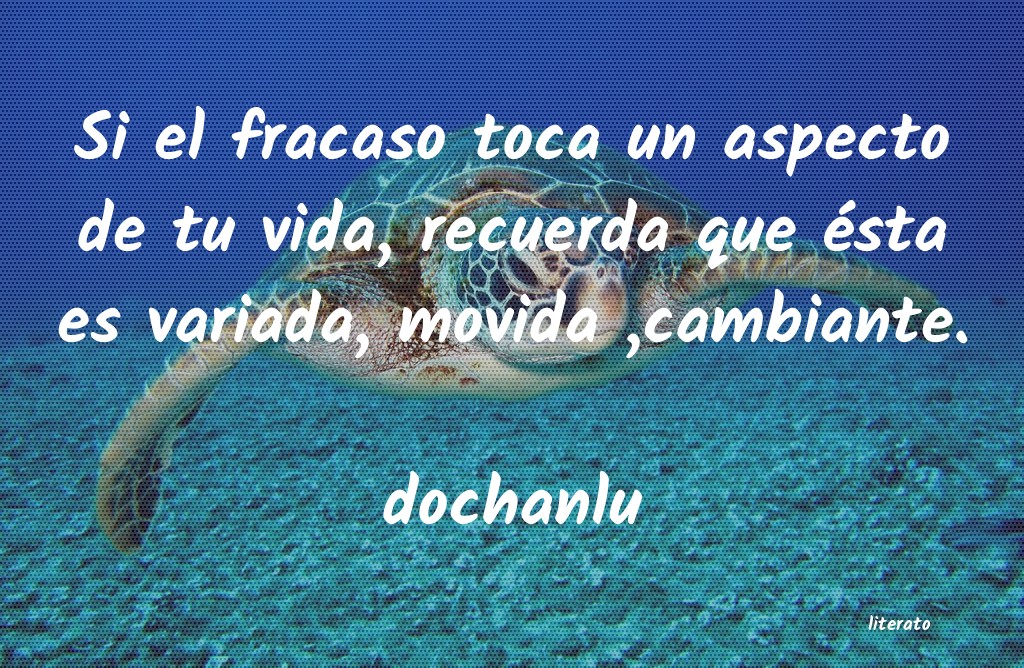 Frases de dochanlu