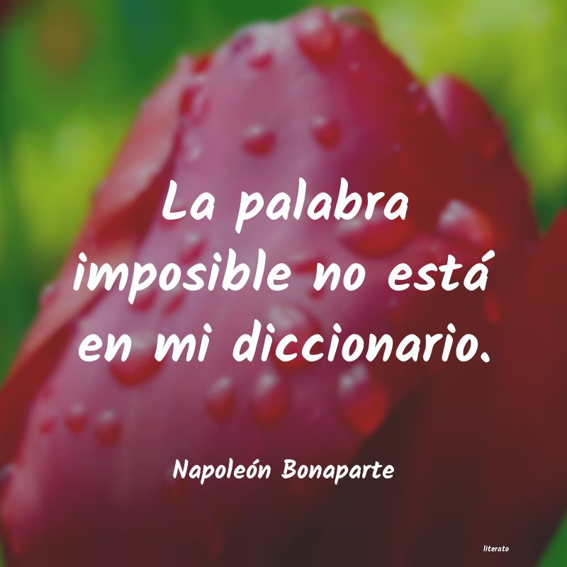 frases de Napoleón Bonaparte