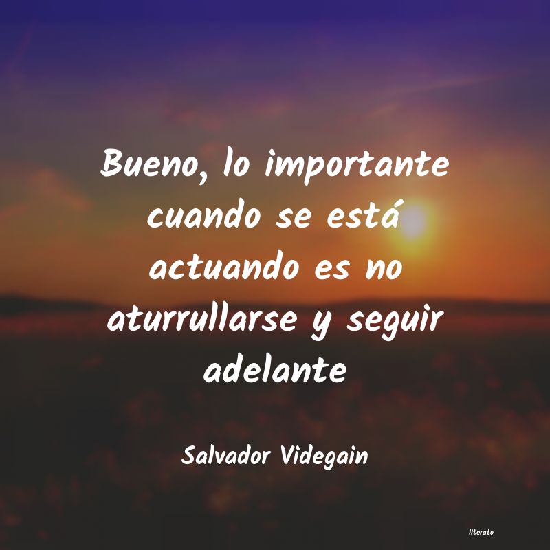 Frases de Salvador Videgain