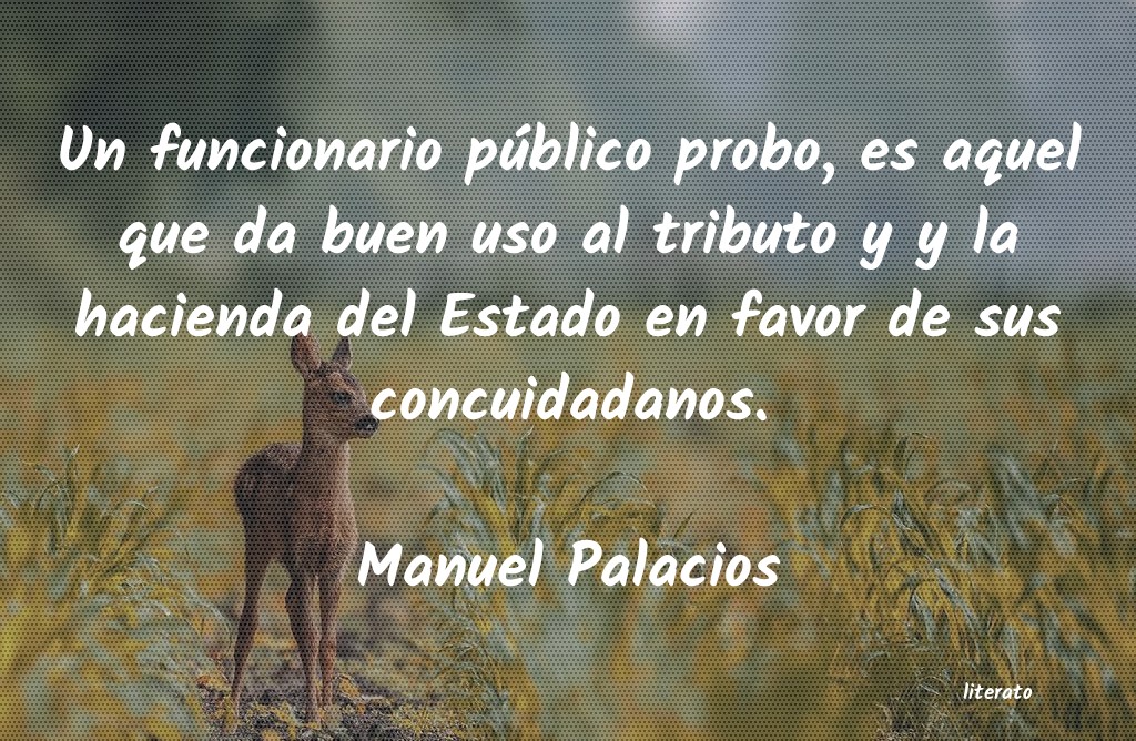 Frases de Manuel Palacios