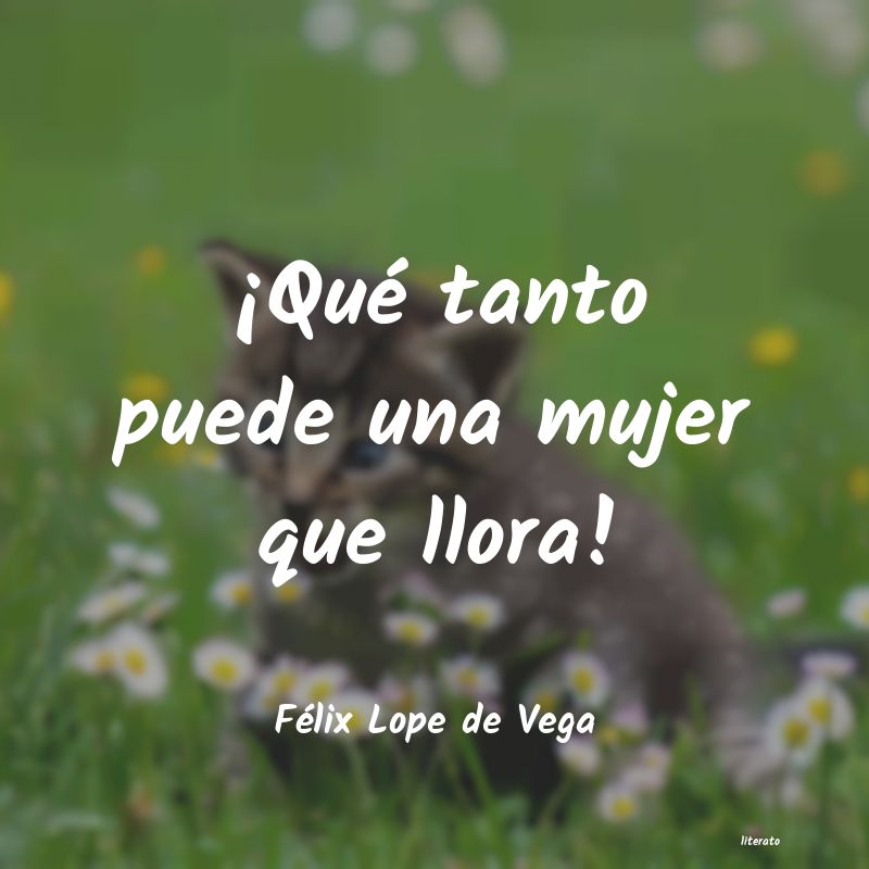 Frases de Félix Lope de Vega