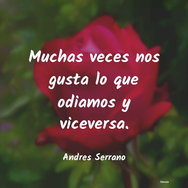 frases de Andres Serrano