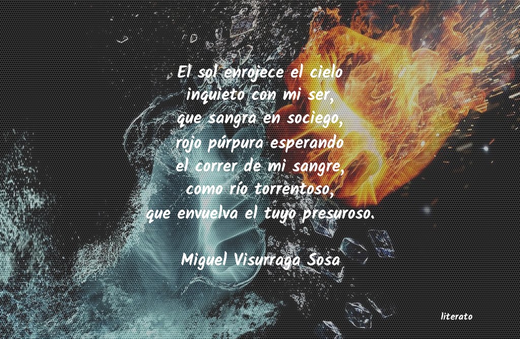 Frases de Miguel Visurraga Sosa