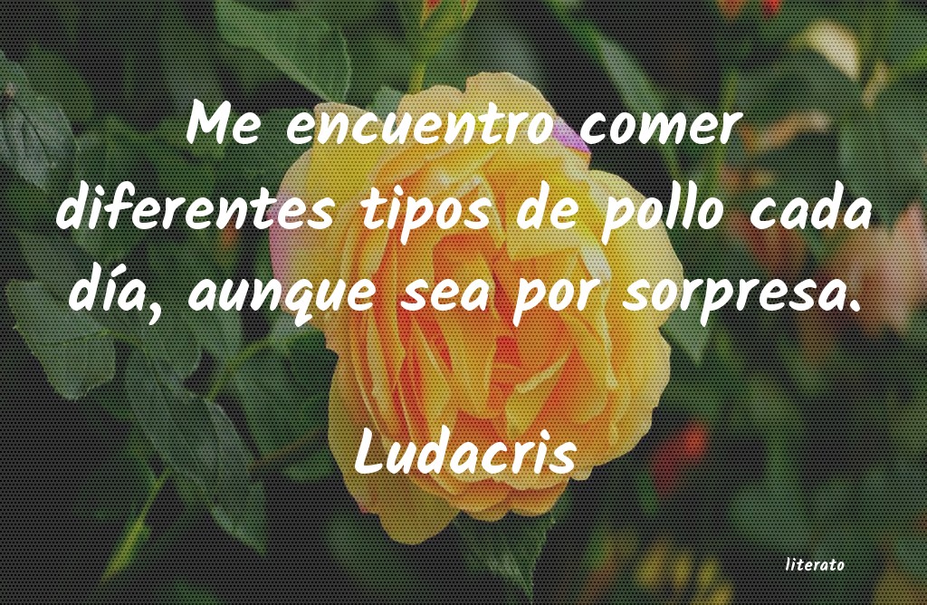 Frases de Ludacris