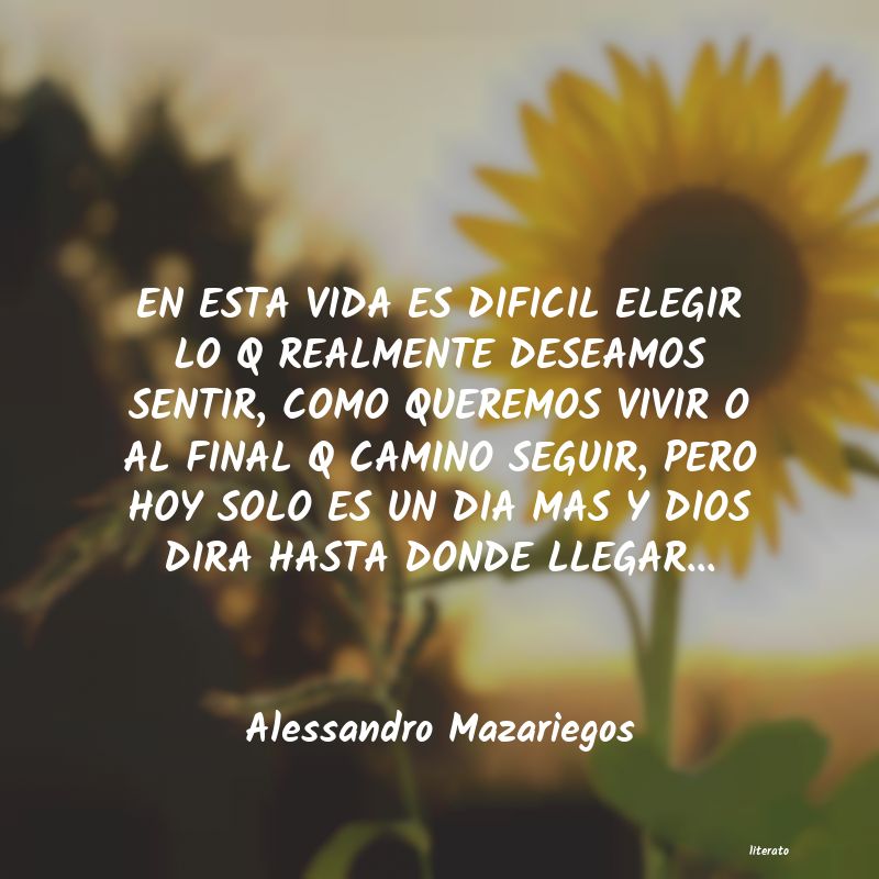 Frases de Alessandro Mazariegos