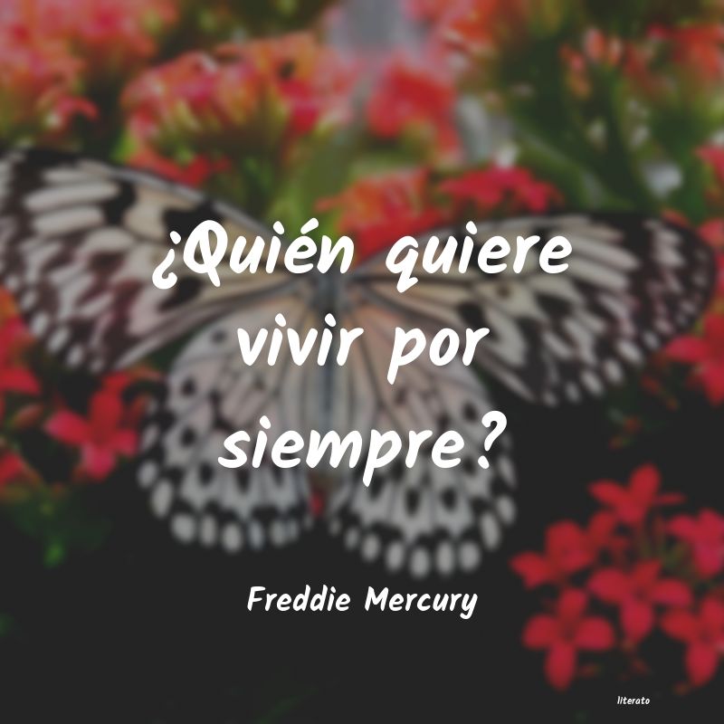 Frases de Freddie Mercury