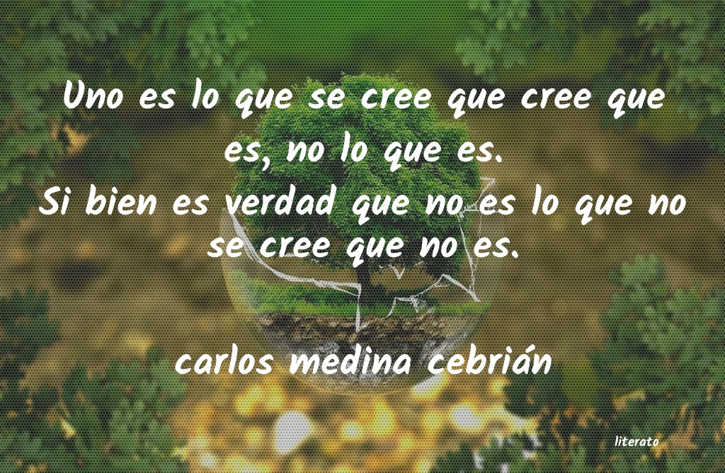 Frases de carlos medina cebrián