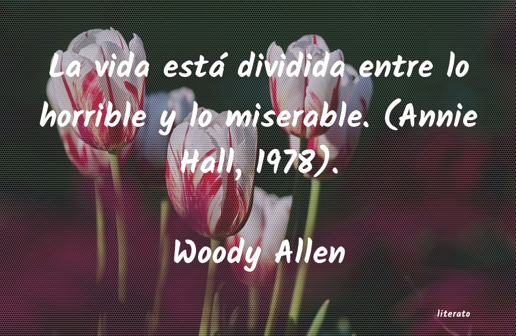 Frases de Woody Allen